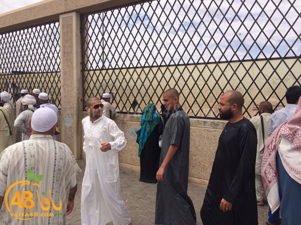 mo3tmreen yfasafa3 (6).JPG